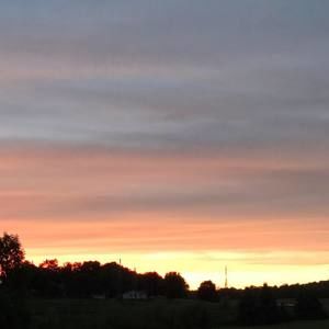 Meet your Posher, Thomas